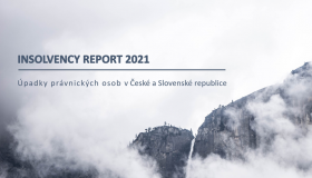 Insolvency Report 04/2021